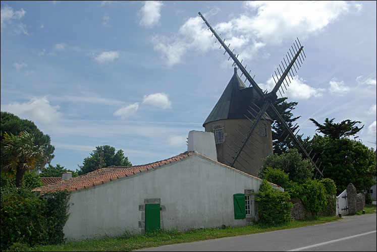 17-Paysage de l'ile de Ré.